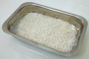 Tray of extrudate from Caleva Mini-Screw extruder